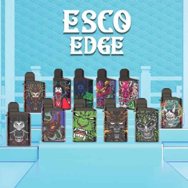 Esco Edge 5500 Puffs Rechargeable Disposable Vape Stick (1 count)