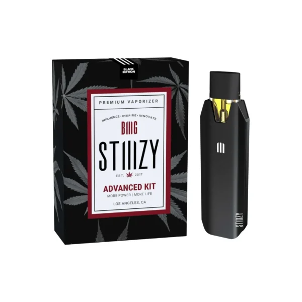 Stiiizy Biiig Advance Kit Vaporizer (1 count)
